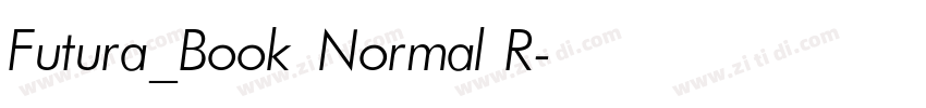 Futura_Book Normal R字体转换